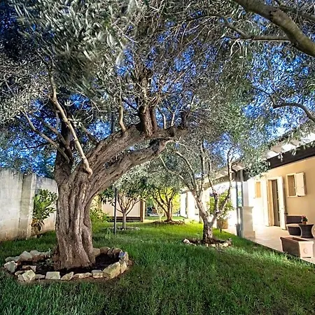 La Corte Di Edoardo 3*